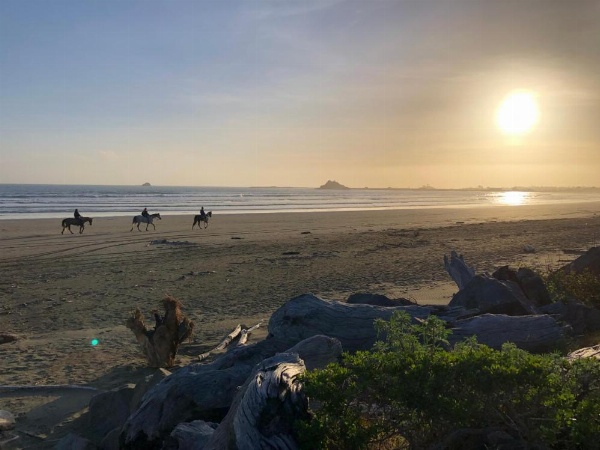 Crescent Beach Motel image 19